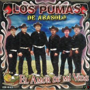 Download track Promesa De Amor Los Pumas De Abasolo