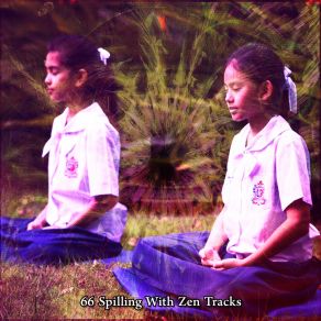 Download track Meditation Marathon Relaxing Mindfulness Meditation Relaxation Maestro