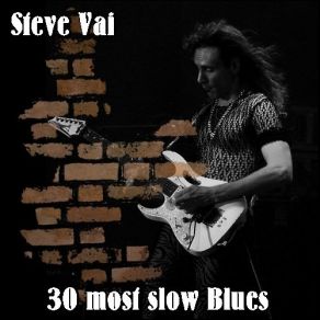 Download track There's A Fire In The House Steve Vai