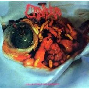 Download track Abnormal Deformity Cadaver