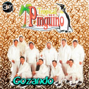 Download track Esperame Hoy Tropical Pinguino