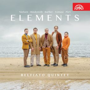 Download track Summer Music For Woodwind Quintet, Op. 31 Belfiato Quintet