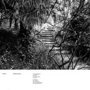 Download track Ethereal Echium