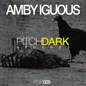 Download track Mystic (Original Mix) Amby Iguous