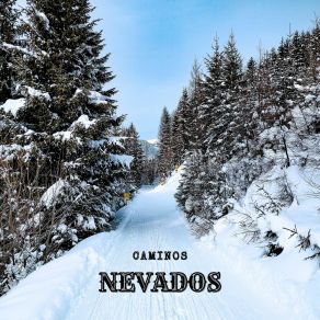 Download track Nieve Y Sombras Musica Para Tomarse Un Café