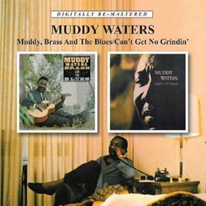 Download track Take My Advice Muddy Waters