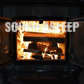 Download track Log Cabin Fireplace Evening Ambience, Pt. 10 Elijah Wagner