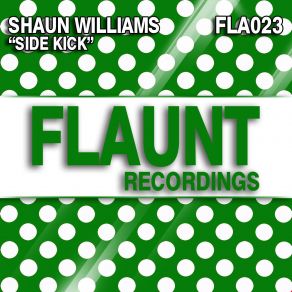 Download track Side Kick (Original Mix) Shaun Williams