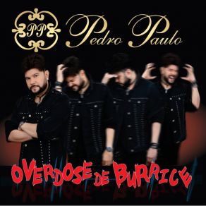 Download track Overdose De Burrice Pedro Paulo