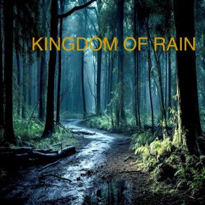 Download track Strong Rain With Birds Kingdom Of Rain