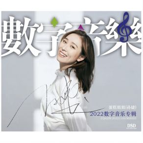 Download track Falling In Love With A Wrong Person Sun Jie