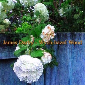 Download track Snowman (Interlude) James Darby