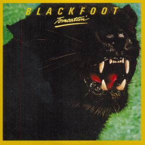 Download track Reckless Abandoner Blackfoot