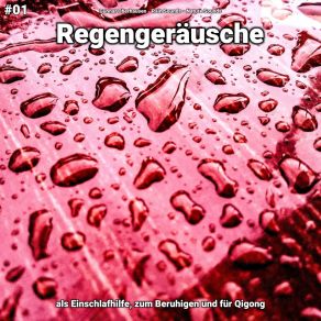 Download track Regengeräusche, Pt. 22 Nature Sounds