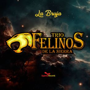 Download track Tragos De Amargo Licor Trio Felinos De La Sierra