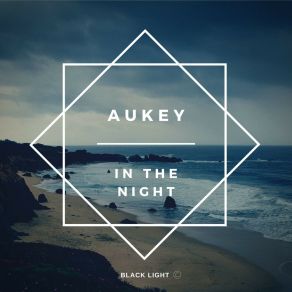 Download track Arms Aukey