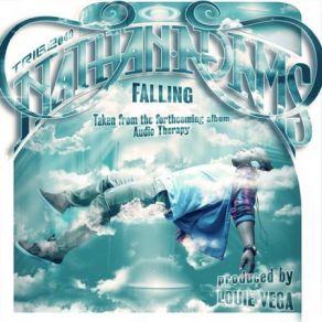 Download track Falling (Roots NYC Instrumental Mix) Nathan Adams