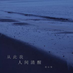 Download track 从此我人间清醒 (伴奏) 沈心仪