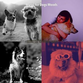 Download track Friendly Cute Puppies Music For Dogs Moods