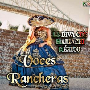 Download track Dejame Volver Contigo Musica Mexicana