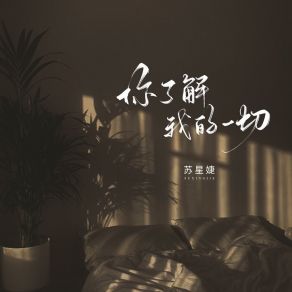 Download track 你了解我的一切 (校园广播版) 苏星婕蘇星婕