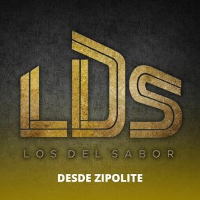 Download track Son De La Rabia / Son De Los Enanitos / Las Amarillas / Son Del Sabor Los Del Sabor LDS