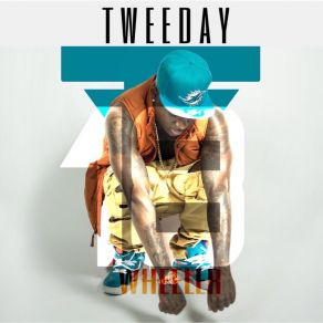 Download track 18 Wheeler Tweeday