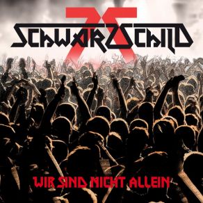 Download track Wir Sind Nicht Allein (DMT Berzerk Remix) Schwarzschild