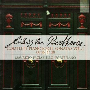 Download track Piano Sonata No. 15 In D Major, Op. 28 Pastoral III. Scherzo Allegro Vivace Maurizio Paciariello