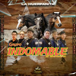 Download track La Huerfanita Grupo Indomable De Michoacan