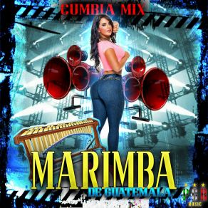 Download track Ay Que Rico Marimba De Guatemala