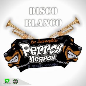 Download track Quiero Bailar Los Perros Negros