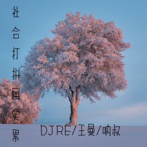 Download track 社会打拼属实累 DJRE