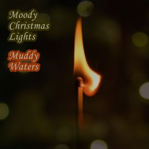 Download track Goodbye Newport Blues Muddy Waters