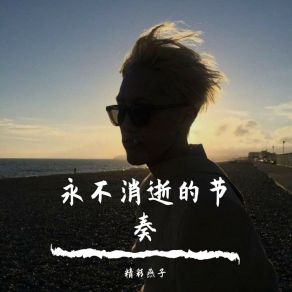 Download track 以为决定多果断（DJ版） 精彩燕子