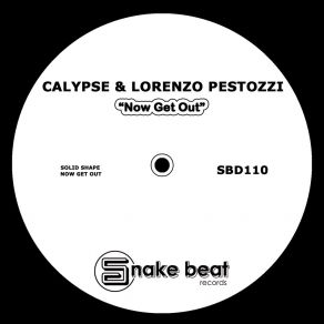 Download track Solid Shape Lorenzo Pestozzi