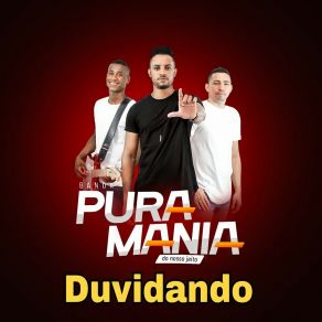 Download track Baladeiro Banda Pura Mania