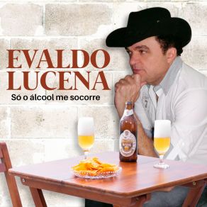 Download track Ó Pra Se Vingar Faz Amor Comigo Evaldo Lucena