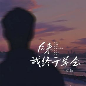 Download track 后来我终于学会 锡钧