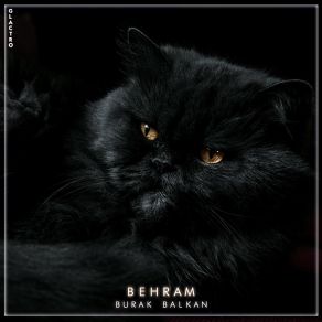 Download track Behram Burak Balkan