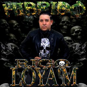 Download track Dolares De A 100 Y Billetes De A 1000 Rigo Loya ' MLos Mayitos De Sinaloa