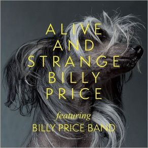 Download track Nothing Stays The Same Forever Billy Price Band