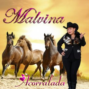 Download track Unas Por Otras (Cover) Malvina