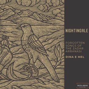 Download track Nightingale Dina Bušić