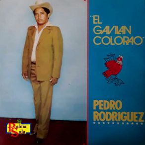 Download track El Gavilán Colorao Pedro Rodriguez