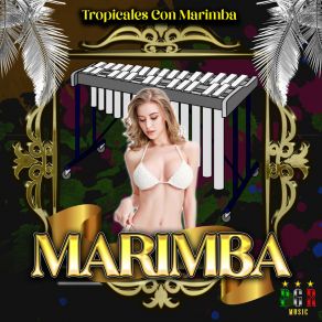 Download track Se Le Ve Grandes Marimbas