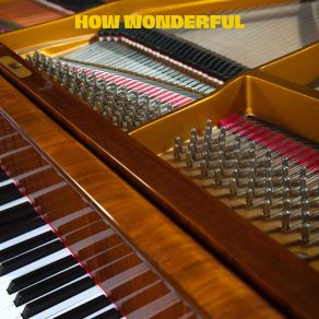 Download track How Wonderful 