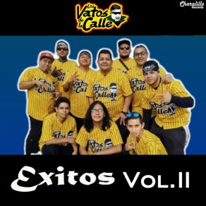 Download track Bailando Y Gozando Los Vatos De La Calle