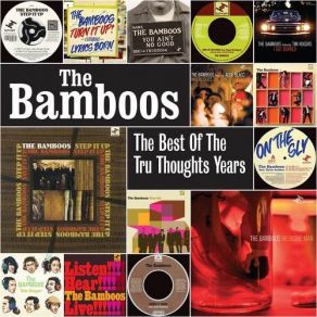 Download track King Of The Rodeo The Bamboos