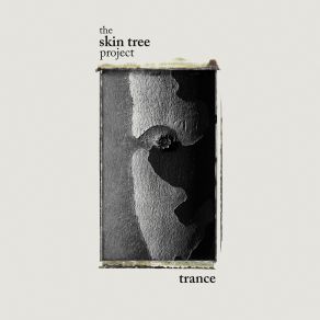 Download track El Viaje The Skin Tree Project